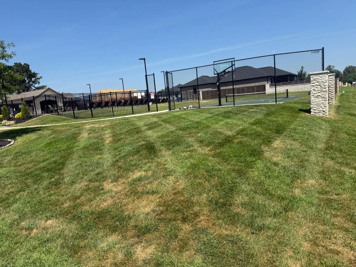 Commercial property lawn mowed in stripes