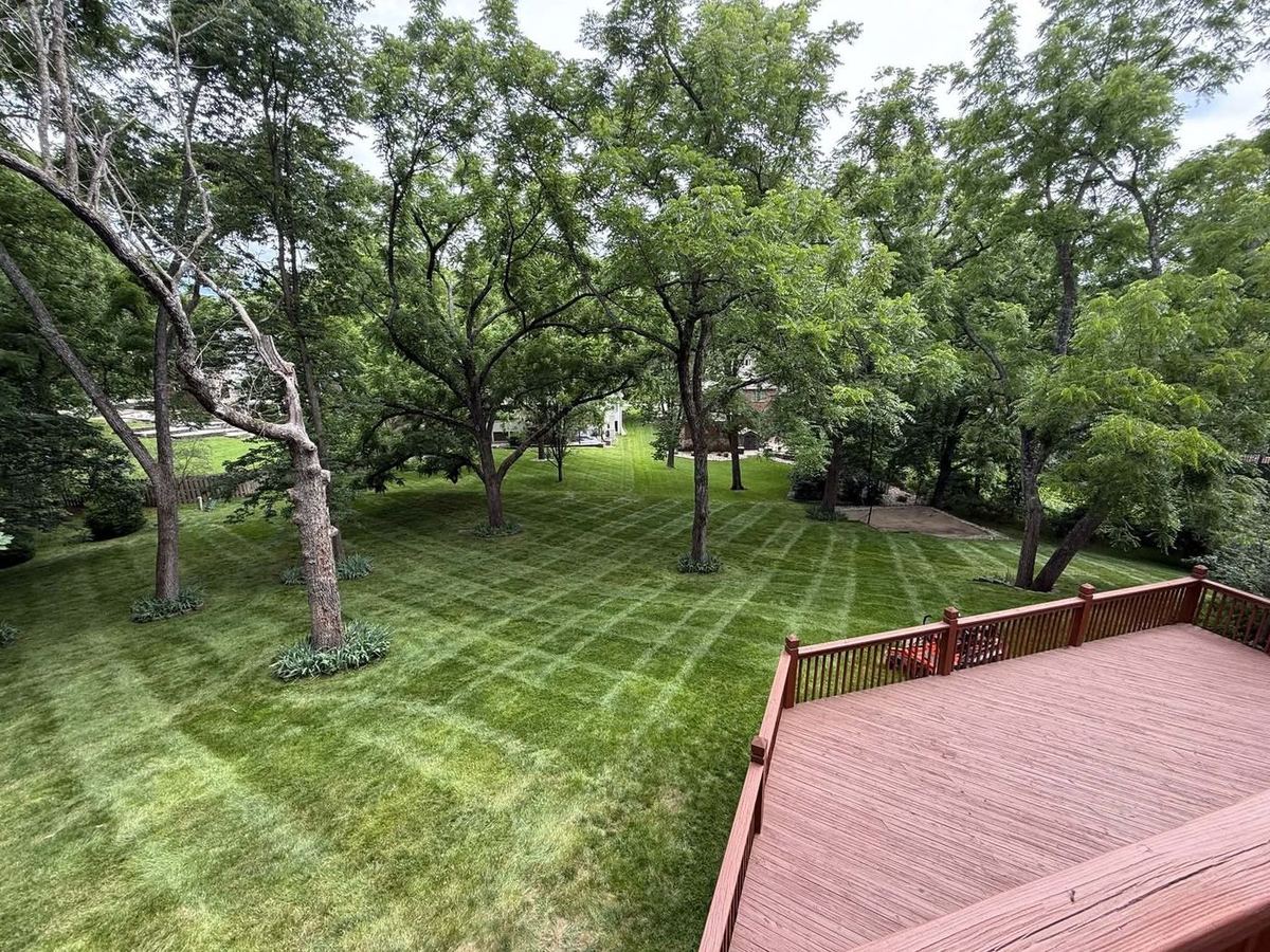 Shaded backyard with mature trees mowed in stripes