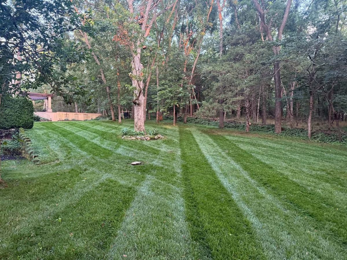 Large wooded backyard mowed in clean stripes